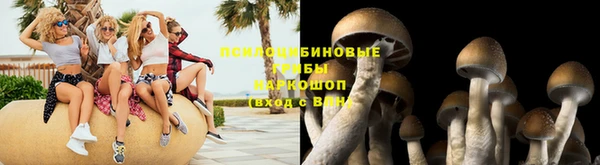 амф Алексин