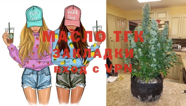 амф Алексин