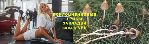 ПСИЛОЦИБИНОВЫЕ ГРИБЫ Алзамай