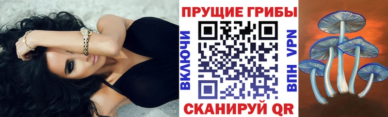 Псилоцибиновые грибы прущие грибы  где купить   KRAKEN ONION  Луза 